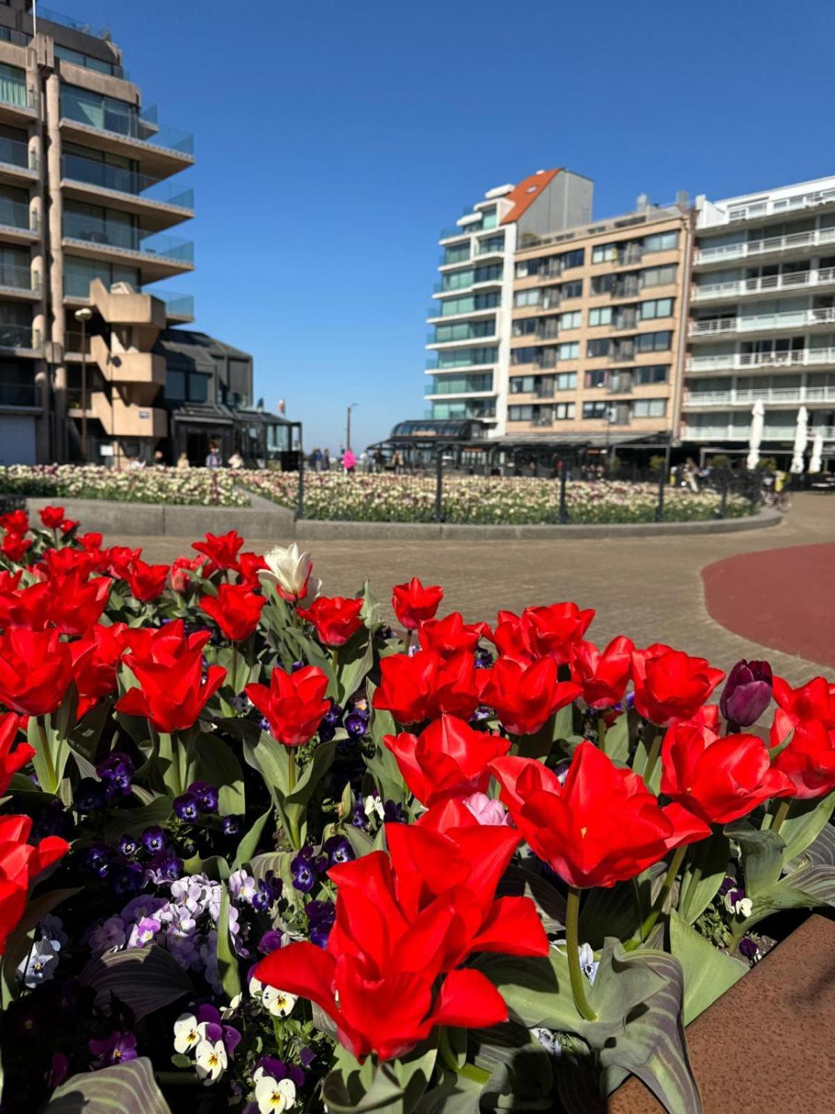 Luxe Studio/Suite Met Zeezicht En Volle Zon Knokke-Heist Esterno foto
